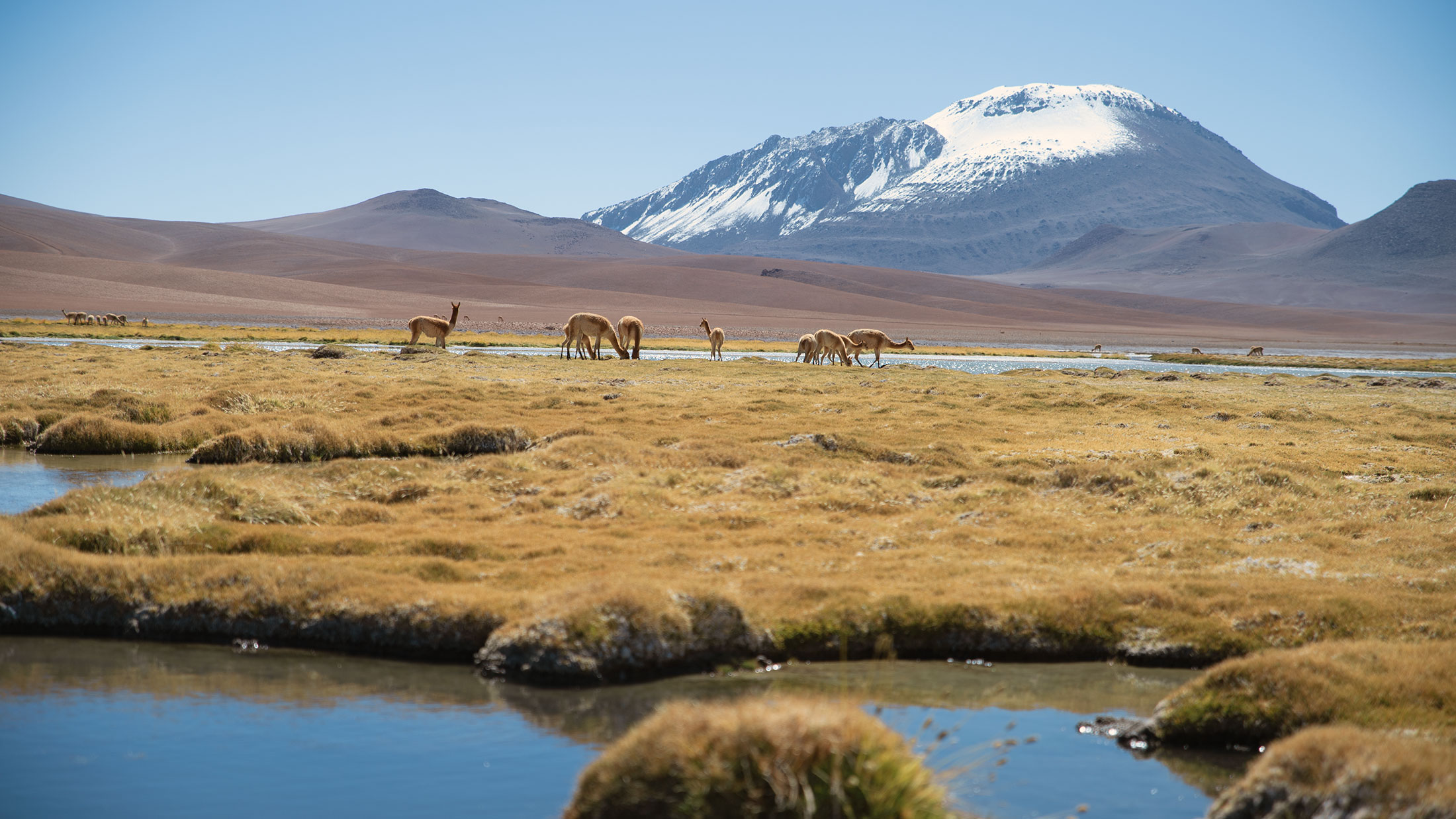 Atacama Chile