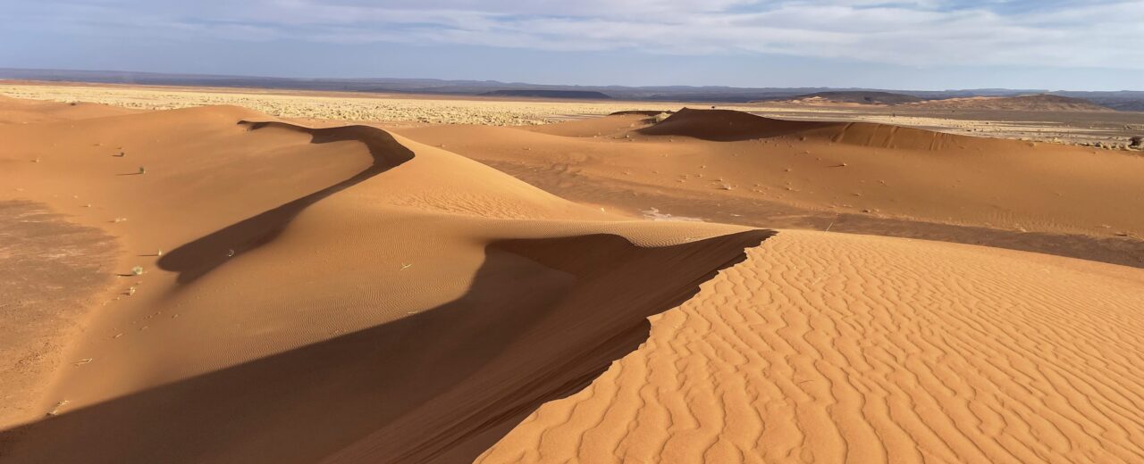 Sanddünen Sahara